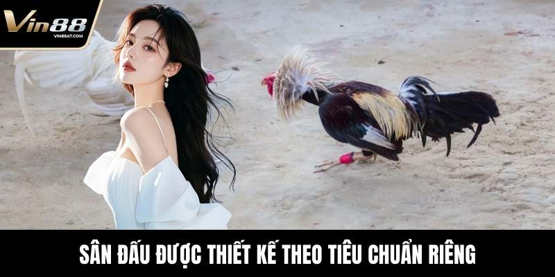 Sân đấu được thiết kế theo tiêu chuẩn riêng